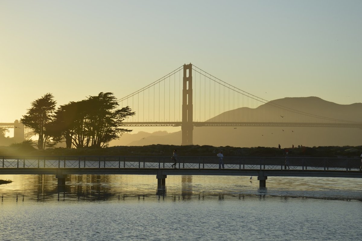 Bay Area Biohacking Essentials