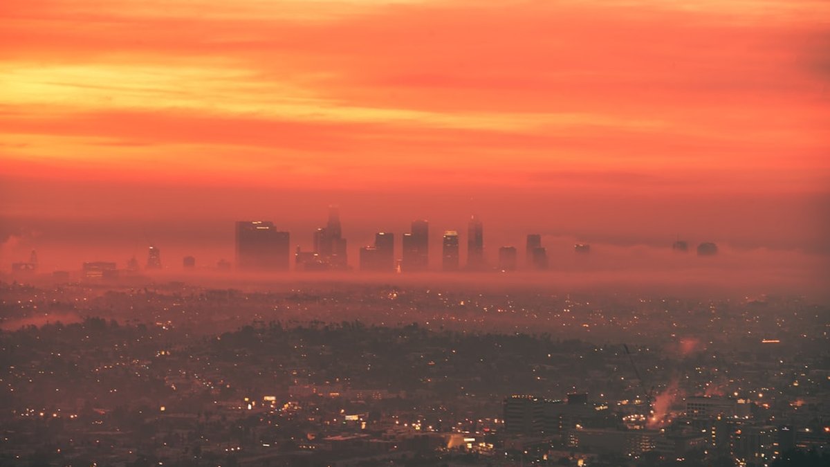 What Californians Should Eat and Take This Week While Smoke Rolls Back In