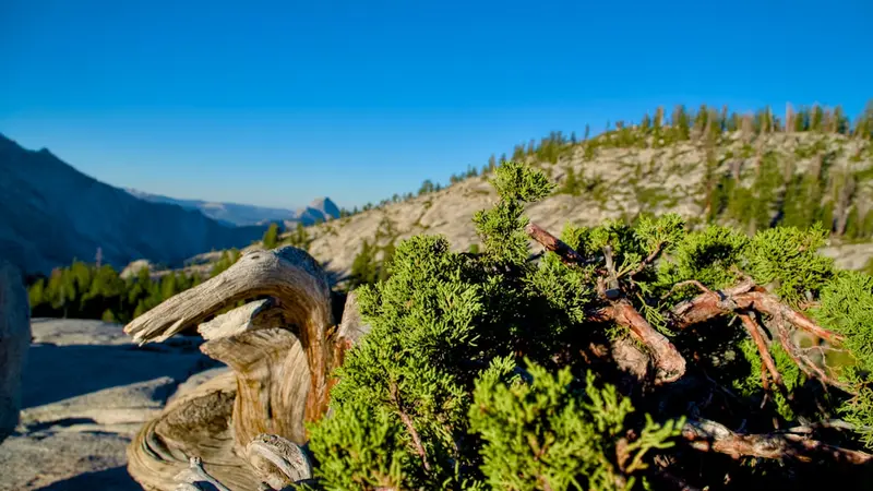 How to Meal Prep for Hiking