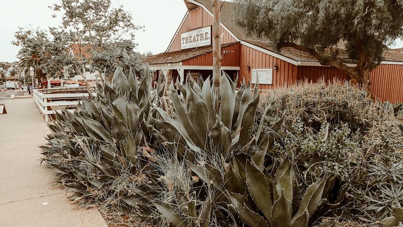 Farm to Table Cafes San Diego Loves