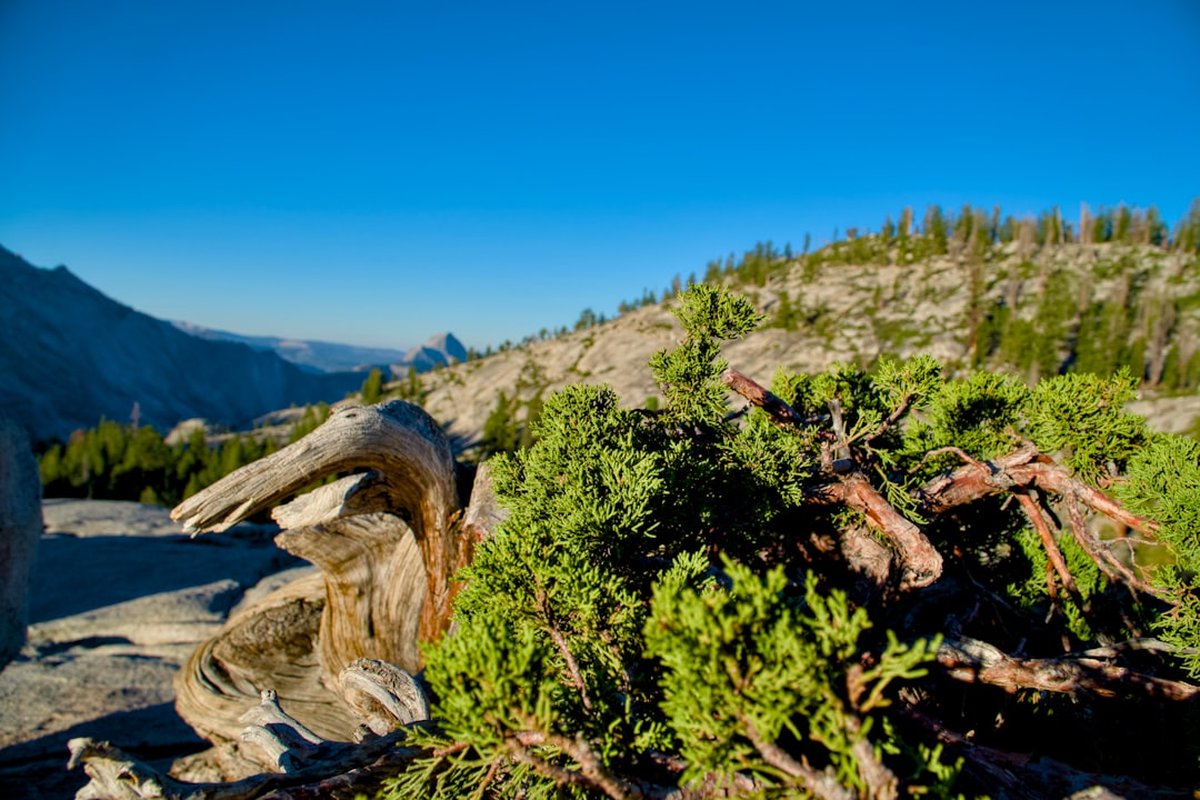 How to Meal Prep for Hiking